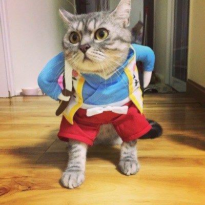 Funny Pets Costume