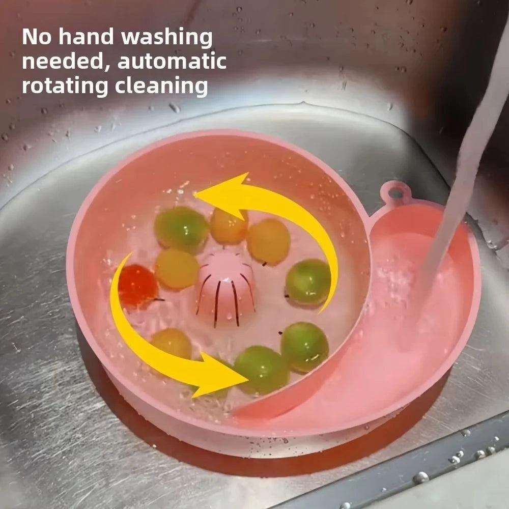 Automatic Vegetable and Fruit Washer