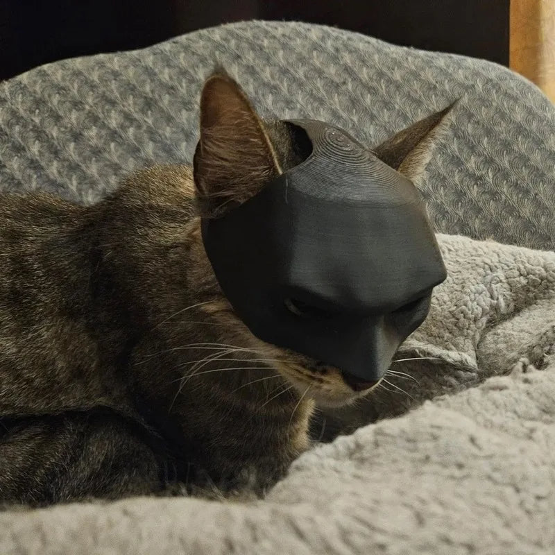 Cat Bat Mask