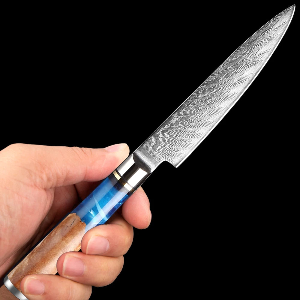 5 Inch Small Kitchen Knife VG10 Damascus Steel